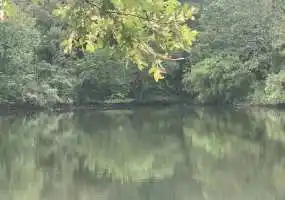 TBD Sagrada Beach Rd, Lincoln, Missouri 65338, ,Recreational,Sold,Sagrada Beach Rd ,5694