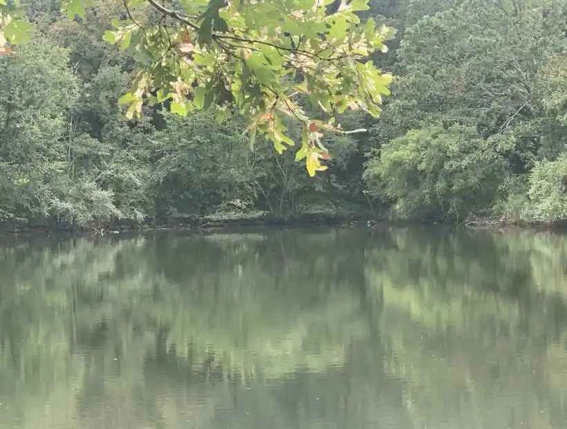 TBD Sagrada Beach Rd, Lincoln, Missouri 65338, ,Recreational,Sold,Sagrada Beach Rd ,5694