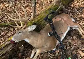 TBD County Road 3600, Saint James, Missouri 65559, ,Land,Inactive, County Road 3600,5706 TBD County Road 3600, Saint James, Missouri 65559, ,Land,Inactive, County Road 3600,5706