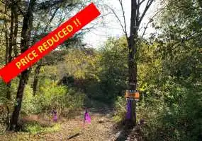 TBD J F Norton Parkway, Winona, Missouri 65588, ,Land,Inactive,J F Norton Parkway,5711 TBD J F Norton Parkway, Winona, Missouri 65588, ,Land,Inactive,J F Norton Parkway,5711