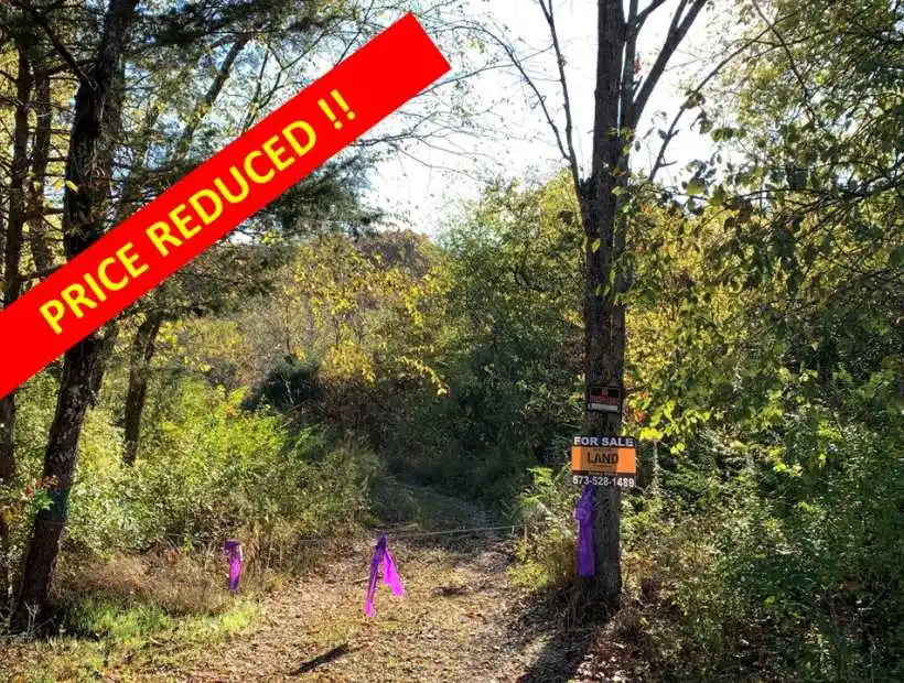 TBD J F Norton Parkway, Winona, Missouri 65588, ,Land,Inactive,J F Norton Parkway,5711