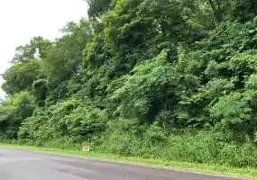 TBD Laguna Palma Rd, De Soto, Missouri 63020, ,Land,Inactive,Laguna Palma Rd,5715 TBD Laguna Palma Rd, De Soto, Missouri 63020, ,Land,Inactive,Laguna Palma Rd,5715