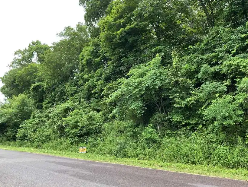 TBD Laguna Palma Rd, De Soto, Missouri 63020, ,Land,Inactive,Laguna Palma Rd,5715