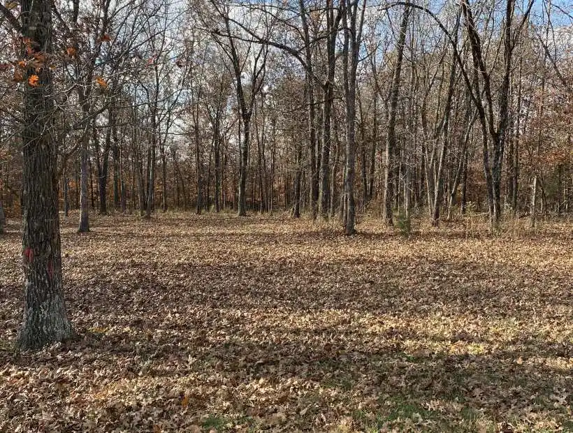 10474 Autumn Road, Cadet, Missouri 63630, 5 Bedrooms Bedrooms, ,2 BathroomsBathrooms,House with Acreage,Inactive,Autumn Road,5722 Washington County, MO Cadet, MO