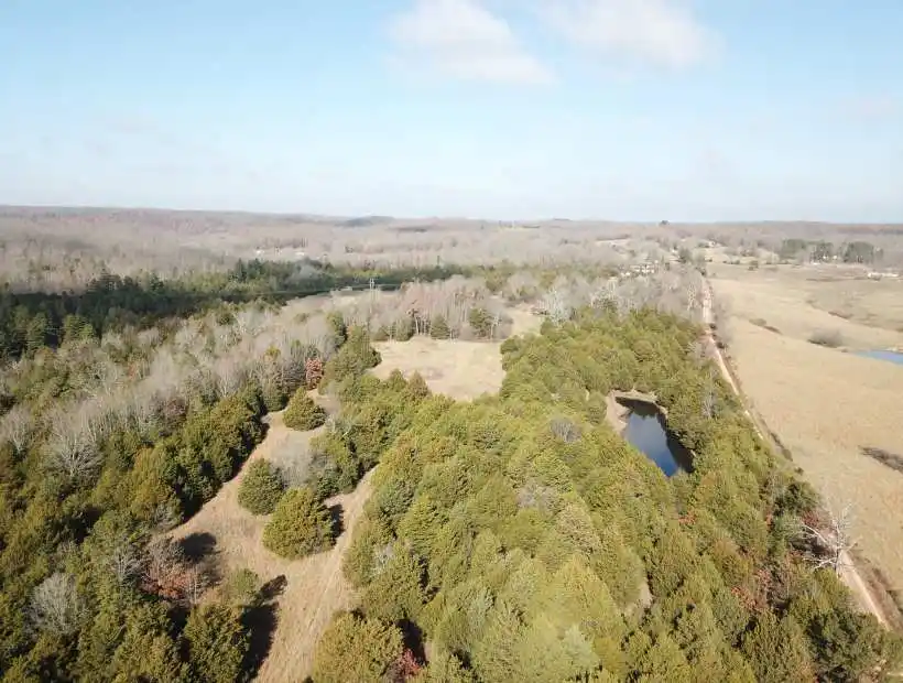 TBD Elderberry Drive, Summersville, Missouri 65571, ,Land,Sold,Elderberry Drive,5725