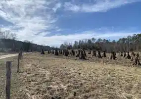 TBD State Hwy AB, Licking, Missouri 65542, ,Farm,Sold,State Hwy AB,5731 TBD State Hwy AB, Licking, Missouri 65542, ,Farm,Sold,State Hwy AB,5731