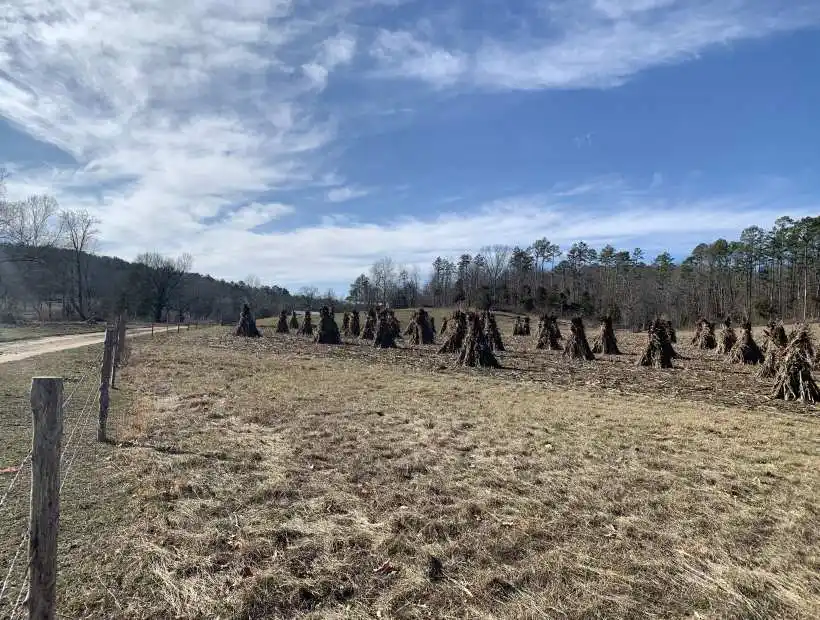 TBD State Hwy AB, Licking, Missouri 65542, ,Farm,Sold,State Hwy AB,5731