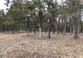 13751 PVT RD 8451, Newburg, Missouri 65550, ,Land,Inactive,PVT RD 8451,5737