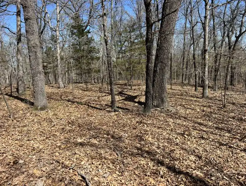 TBD Montana Rd, Gravois Mills, Missouri 65037, ,Land,Sold,Montana Rd ,5754