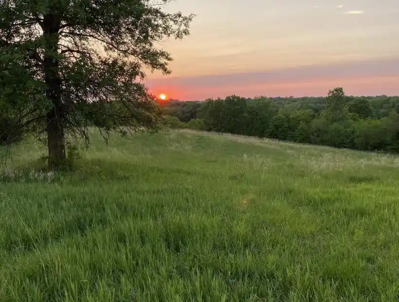 Land, Farm, Hunting, Row Crop, Pond, Creek, Pasture, Build Site, Timber