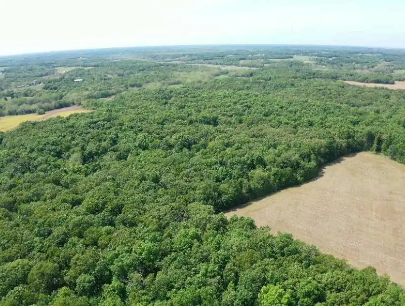 TBD Manito Lake Rd, Fortuna, Missouri 65034, ,Recreational,Sold,Manito Lake Rd ,5776