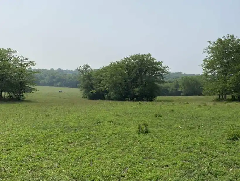 hunting, land, farm, timber, deer, cattle pasture, fenced, creek, pond, build site