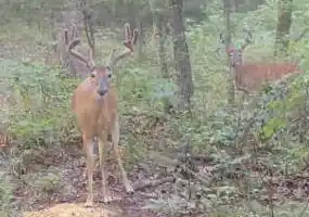 TBD Ehlers Rd, Stover, Missouri 65078, ,Land,Sold,Ehlers Rd ,5785 TBD Ehlers Rd, Stover, Missouri 65078, ,Land,Sold,Ehlers Rd ,5785