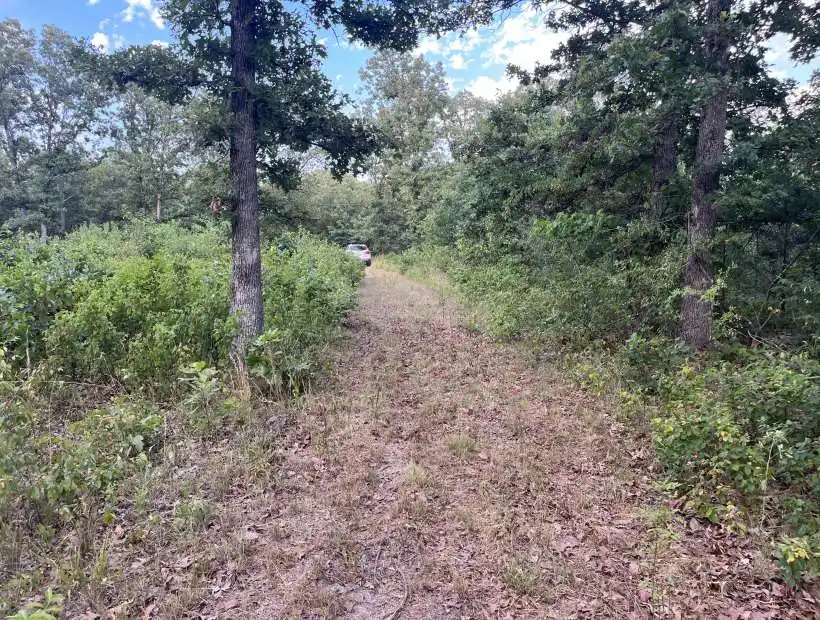 TBD SE Old Highway 13, Collins, Missouri 64738, ,Land,Sold,SE Old Highway 13,5786