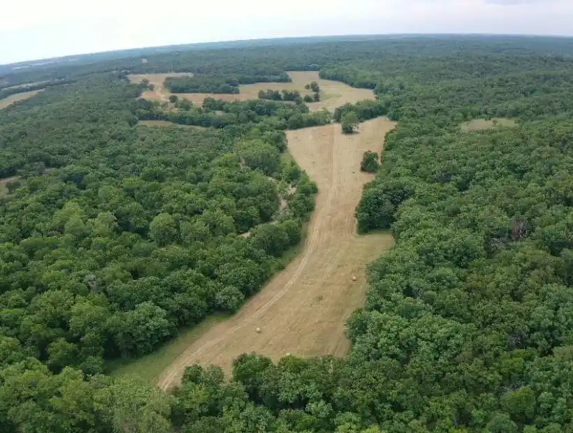 TBD Bethel Ave, Edwards, Missouri 65326, ,Farm,Inactive,Bethel Ave ,5793