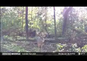 TBD Hwy AA, Roach, Missouri 65787, ,Land,Sold,Hwy AA,5801 TBD Hwy AA, Roach, Missouri 65787, ,Land,Sold,Hwy AA,5801