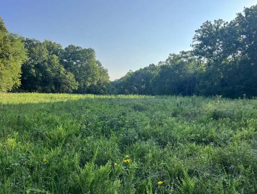 TBD Little BuffaloRd, Stover, Missouri 65078, 2 Bedrooms Bedrooms, ,1 BathroomBathrooms,Land,Sold,Little BuffaloRd,5812