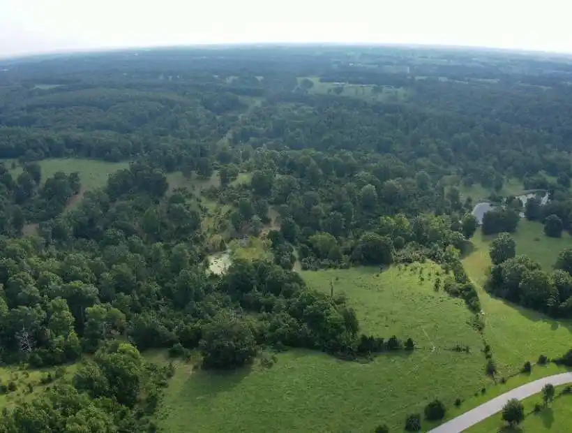 TBD Weatherby Rd, Fordland, Missouri 65652, ,Land,Sold,Weatherby Rd,5822