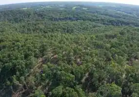 TBD Hwy AA, Roach, Missouri 65787, ,Recreational,Sold,Hwy AA,5826 TBD Hwy AA, Roach, Missouri 65787, ,Recreational,Sold,Hwy AA,5826