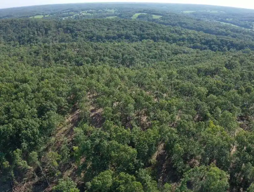 TBD Hwy AA, Roach, Missouri 65787, ,Recreational,Sold,Hwy AA,5826