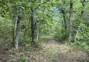 TBD Hwy E, Eldridge, Missouri 65463, ,Land,Sold,Hwy E ,5841 TBD Hwy E, Eldridge, Missouri 65463, ,Land,Sold,Hwy E ,5841