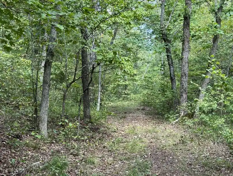 TBD Hwy E, Eldridge, Missouri 65463, ,Land,Sold,Hwy E ,5841