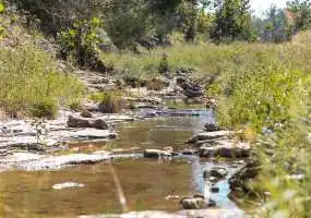 Ranches, Ranches in Missouri, Farms, Farms in Missouri, Large Ranches, Large Farms, Large Acreage, Large Pieces of Land, Cattle Ranches, Cattle Ranches for Sale, Cattle Ranches for Sale in Missouri, Cattle Ranches for Sale in Southern Missouri, Cattle Operations, Cattle Operations for Sale, Large Pieces of Land for Sale,Ranches with Springs, Ranches for Sale with Springs, Ranches for Sale with Live Water, Ranches for Sale with River Frontage, Land for Sale with Creeks, Land for Sale with River Frontage, Land for Sale with Live Water, Farms for Sale with Creeks, Farms for Sale with River Frontage, Farms for Sale with Springs, Farms for Sale with Natural Springs, Farms for Sale with Creeks Ranches, Ranches in Missouri, Farms, Farms in Missouri, Large Ranches, Large Farms, Large Acreage, Large Pieces of Land, Cattle Ranches, Cattle Ranches for Sale, Cattle Ranches for Sale in Missouri, Cattle Ranches for Sale in Southern Missouri, Cattle Operations, Cattle Operations for Sale, Large Pieces of Land for Sale,Ranches with Springs, Ranches for Sale with Springs, Ranches for Sale with Live Water, Ranches for Sale with River Frontage, Land for Sale with Creeks, Land for Sale with River Frontage, Land for Sale with Live Water, Farms for Sale with Creeks, Farms for Sale with River Frontage, Farms for Sale with Springs, Farms for Sale with Natural Springs, Farms for Sale with Creeks