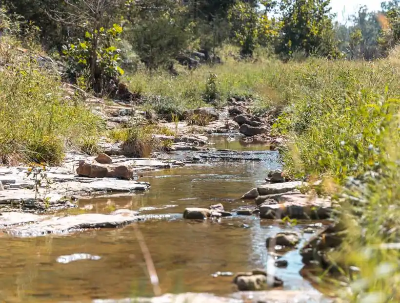 Plenty of creeks and springs