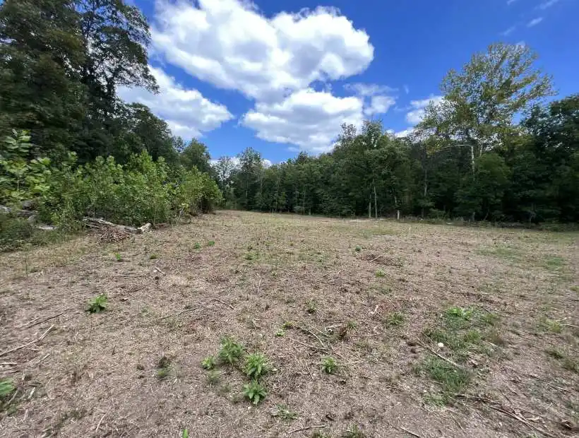 TBD Hwy E, Eldridge, Missouri 65463, ,Hunting,Sold,Hwy E,5848