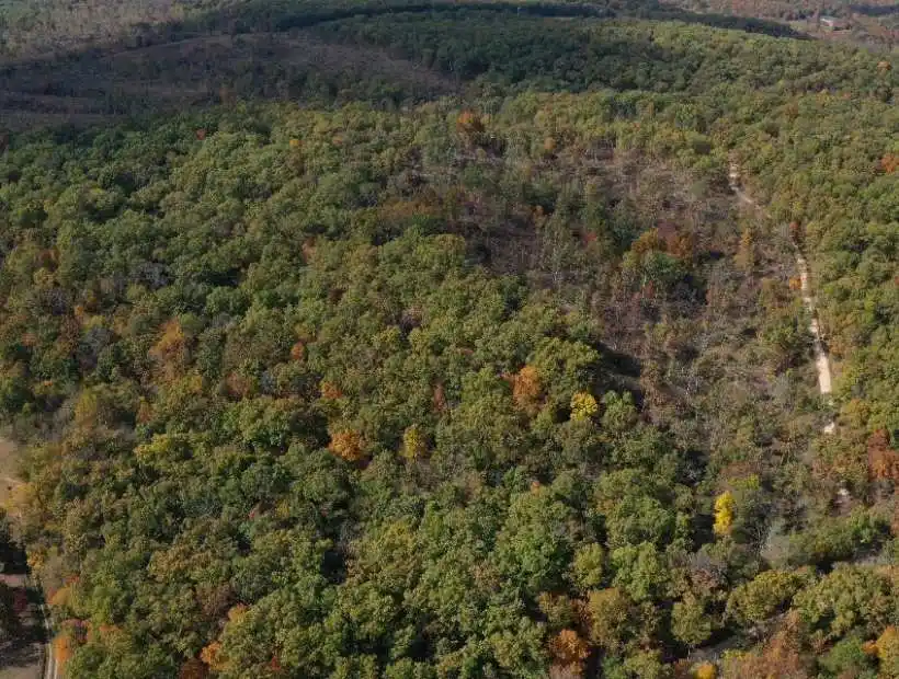 TBD Montana Rd, Gravois Mills, Missouri 65037, ,Land,Sold,Montana Rd,5866