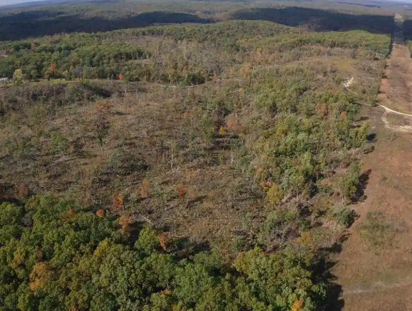 TBD Montana Rd, Gravois Mills, Missouri 65037, ,Land,Sold,Montana Rd ,5867