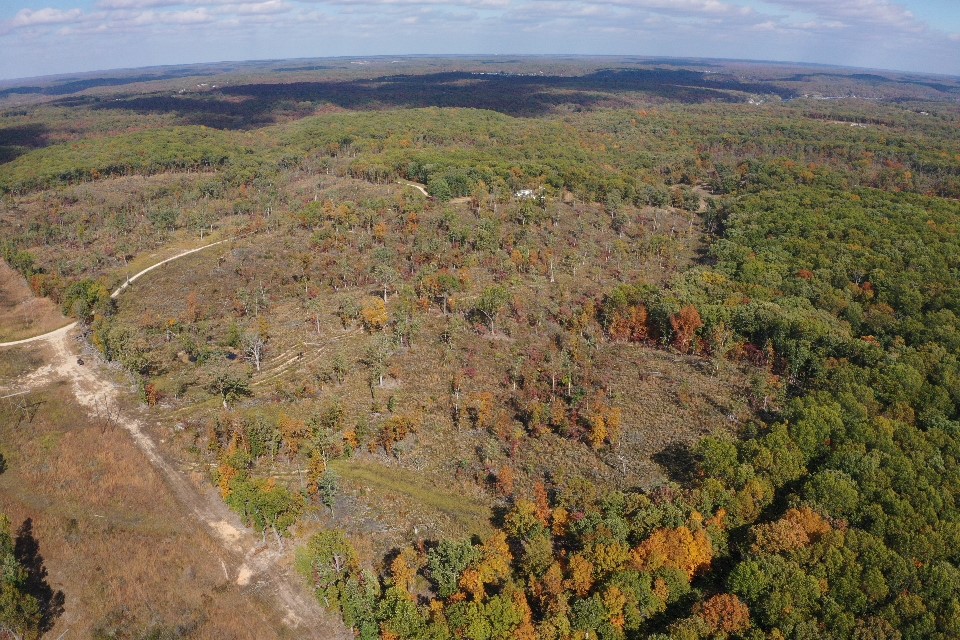 35.4 Acre Hunting Tract County Missouri