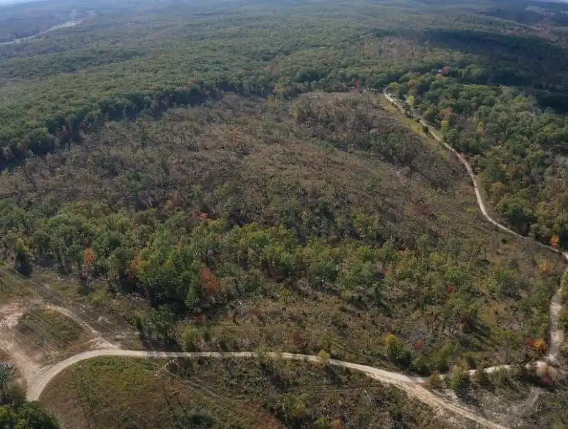 TBD Montana Rd, Gravois Mills, Missouri 65037, ,Land,Sold,Montana Rd ,5869