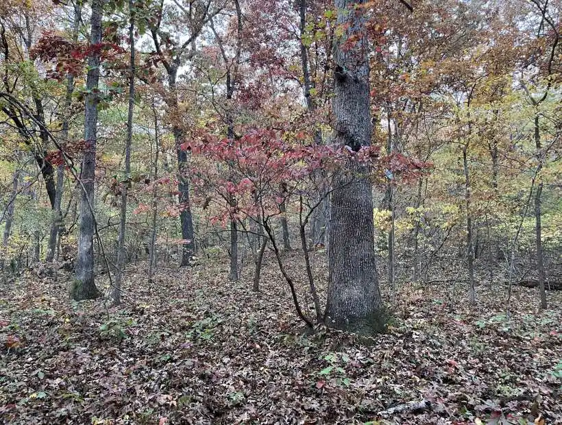 TBD Broken Circle Rd., Stover, Missouri 65078, ,Land,Inactive,Broken Circle Rd.,5877