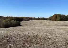 farm, hunting, pond, timber, deer, turkey, fishing, tillable, access, terrain, highway