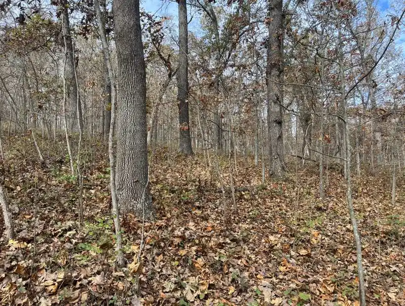 TBD Rogers Circle, Edwards, Missouri 65326, ,Land,Sold,Rogers Circle,5882