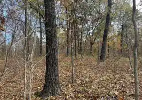 TBD, Rogers Circle, Edwards, Missouri 65326, ,Land,Inactive,Rogers Circle,5884