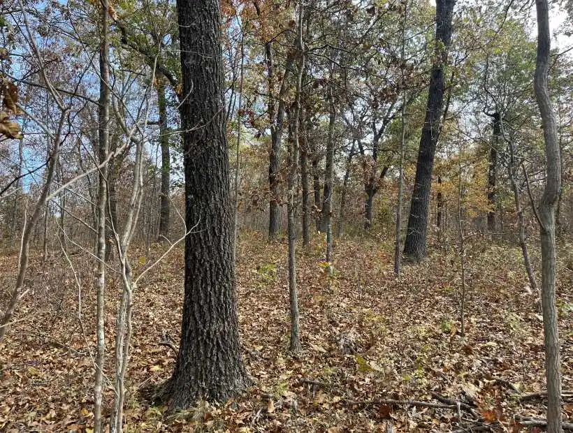 TBD, Rogers Circle, Edwards, Missouri 65326, ,Land,Inactive,Rogers Circle,5884