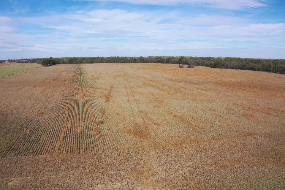 80 Acre Row Crop Farm in Appleton City Mo