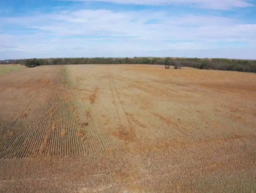 TBD NW 900 Rd, Appleton City, Missouri 64724, ,Land,Sold,NW 900 Rd,5887