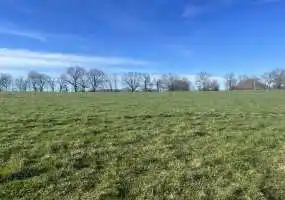 TBD State Highway 17, Mountain View, Missouri 65548, ,Land,Sold,State Highway 17,5919 TBD State Highway 17, Mountain View, Missouri 65548, ,Land,Sold,State Highway 17,5919