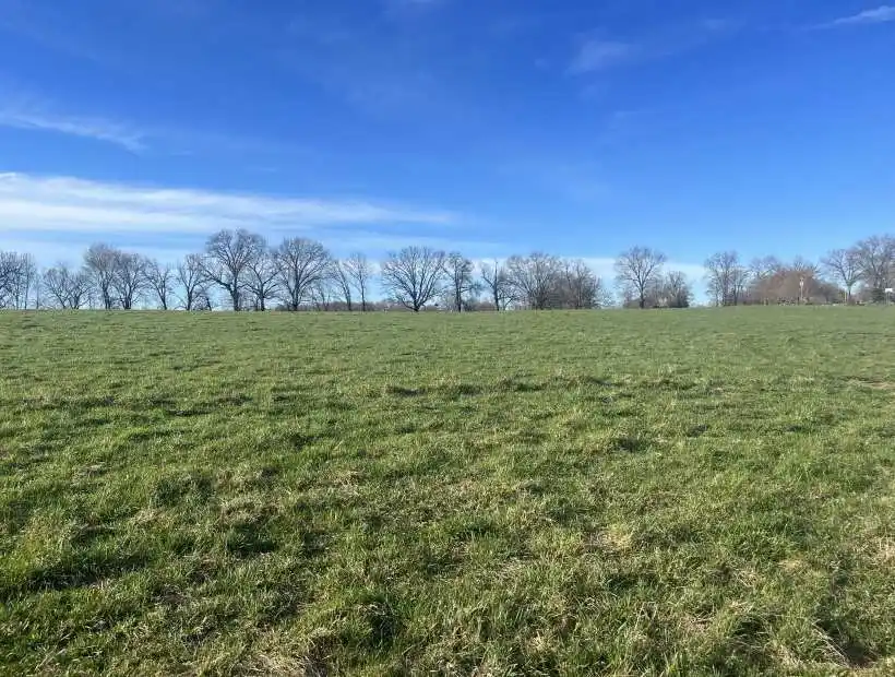 TBD State Highway 17, Mountain View, Missouri 65548, ,Land,Sold,State Highway 17,5919