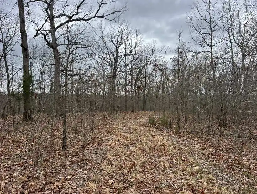 TBD Mt Horeb Rd, Camdenton, Missouri 65020, ,Land,Sold,Mt Horeb Rd,5928