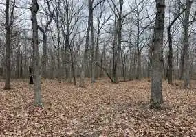 TBD Mt Horeb Rd, Camdenton, Missouri 65020, ,Land,Sold,Mt Horeb Rd,5930