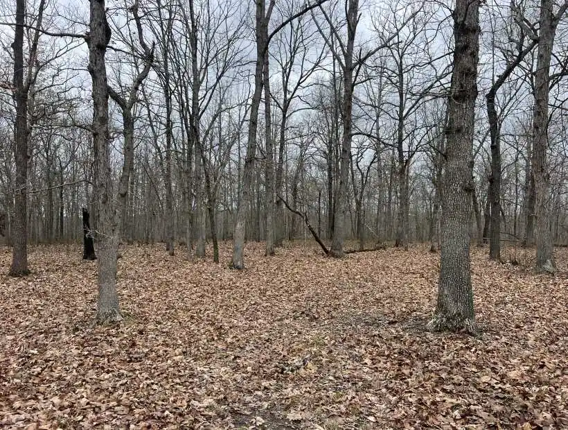 TBD Mt Horeb Rd, Camdenton, Missouri 65020, ,Land,Sold,Mt Horeb Rd,5930