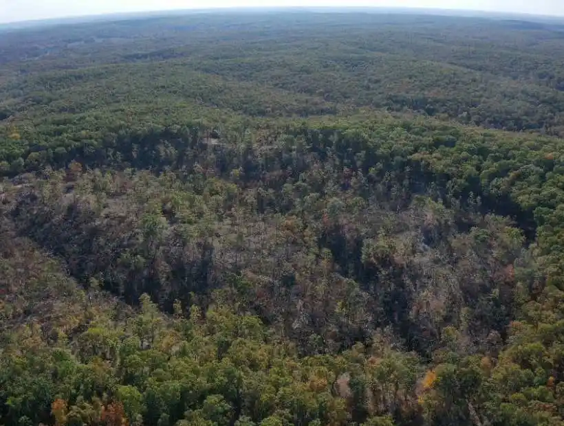 12030 Montana Rd, Gravois Mills, Missouri 65037, ,Hunting,Sold,Montana Rd,5950