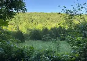 TBD Cave Road, Dixon, Missouri 65459, ,Land,Sold,Cave Road,5975 TBD Cave Road, Dixon, Missouri 65459, ,Land,Sold,Cave Road,5975