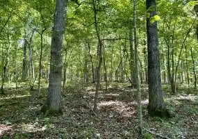 TBD Farm Road 2300, Seligman, Missouri 65745, ,Hunting,Inactive,Farm Road 2300,5985 TBD Farm Road 2300, Seligman, Missouri 65745, ,Hunting,Inactive,Farm Road 2300,5985