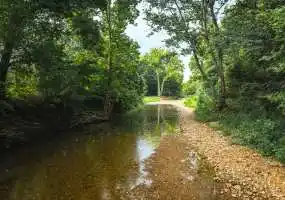 41170 Maries County Road 633 Maries County Road 633, Dixon, Missouri 65459, 1 Bedroom Bedrooms, ,1 BathroomBathrooms,Farm,Sold,Maries County Road 633,5991 41170 Maries County Road 633 Maries County Road 633, Dixon, Missouri 65459, 1 Bedroom Bedrooms, ,1 BathroomBathrooms,Farm,Sold,Maries County Road 633,5991