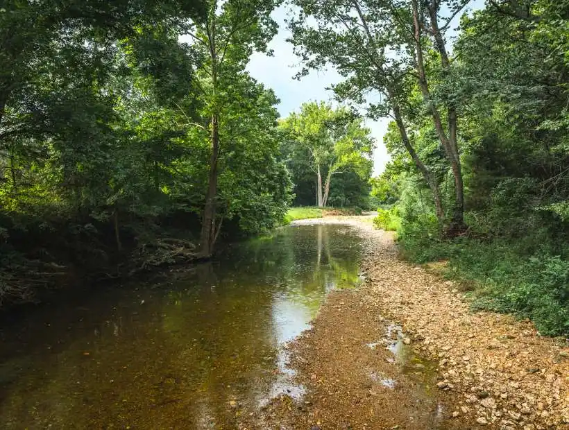 41170 Maries County Road 633 Maries County Road 633, Dixon, Missouri 65459, 1 Bedroom Bedrooms, ,1 BathroomBathrooms,Farm,Sold,Maries County Road 633,5991